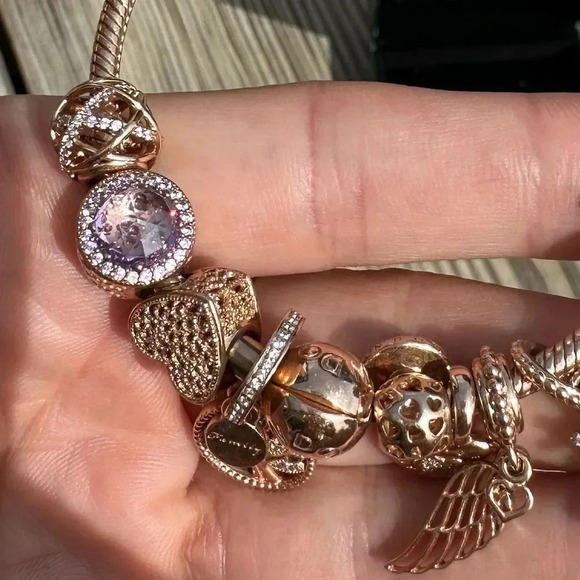 Pandora Limited edition Rose Gold bracelet set 10 charms,Very Rare to find - Picture 14 of 16